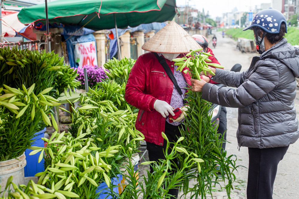 Người trồng hoa Hà Nội lâm cảnh 'hoa cười người khóc' ảnh 9