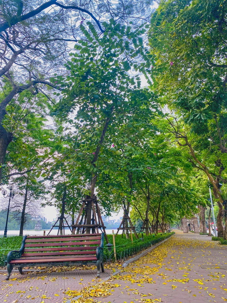 Hà Nội tĩnh mịch mùa COVID-19 qua gương soi bóng nước ảnh 10