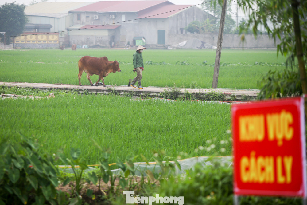 Lập 12 chốt kiểm soát, cách ly cả thôn Đông Cứu - Thường Tín vì có ca mắc COVID-19 ảnh 12