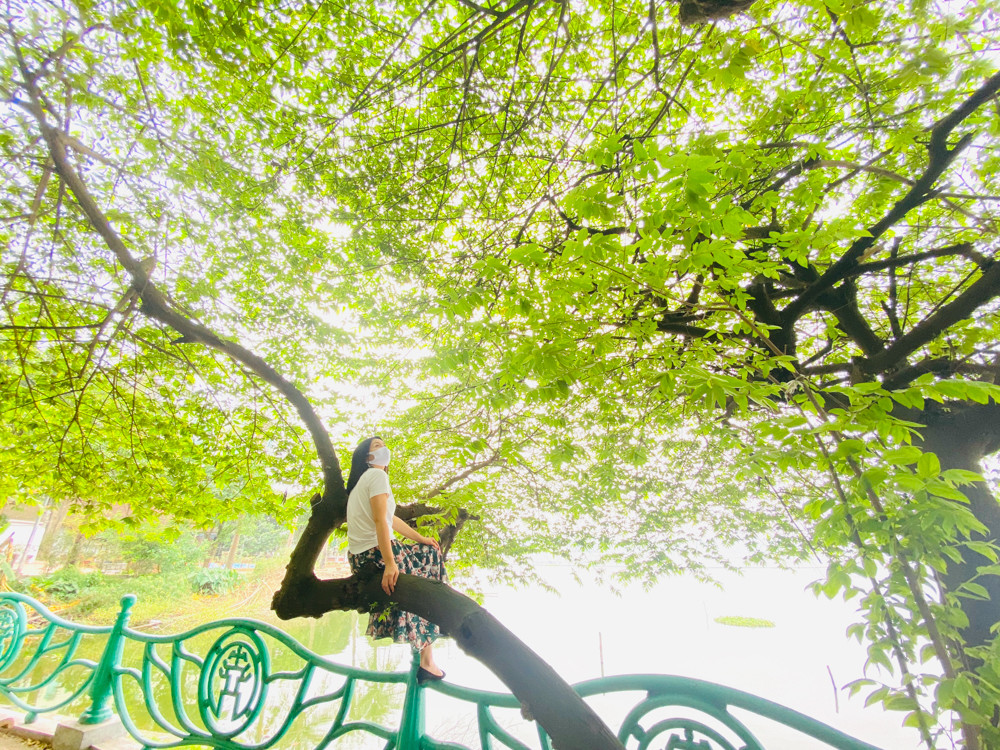 Hà Nội tĩnh mịch mùa COVID-19 qua gương soi bóng nước ảnh 12