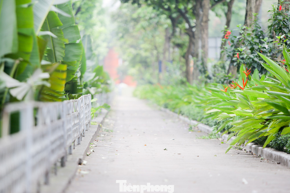 Những con đường mới 'giải nhiệt' của Thủ đô ảnh 14