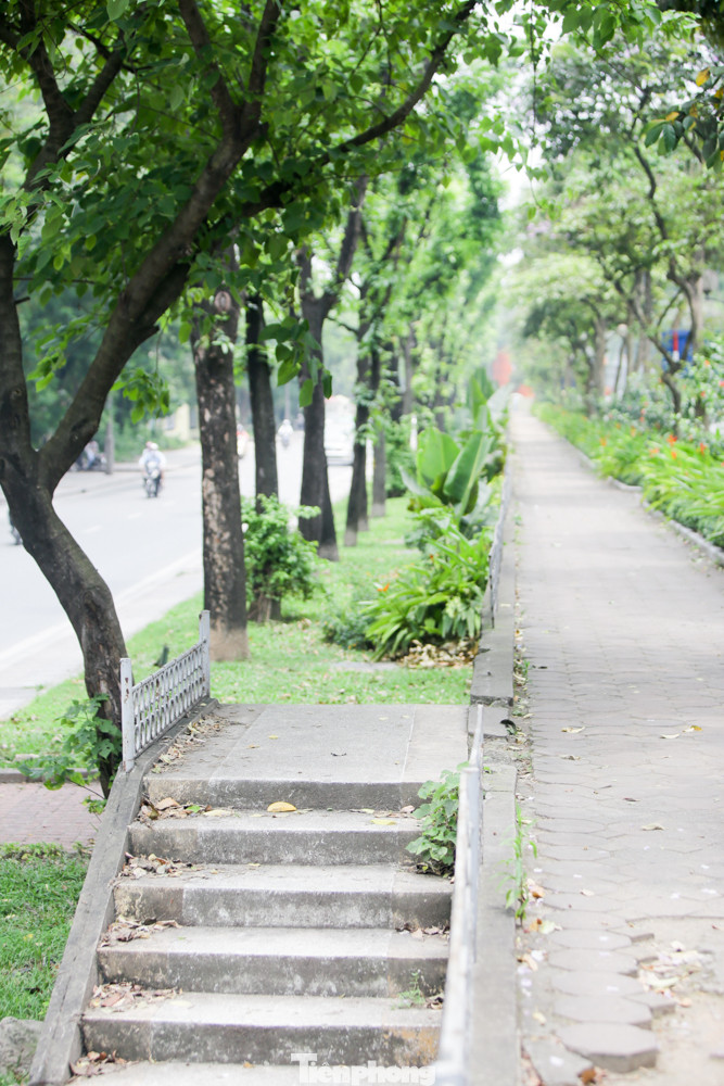 Những con đường mới 'giải nhiệt' của Thủ đô ảnh 15