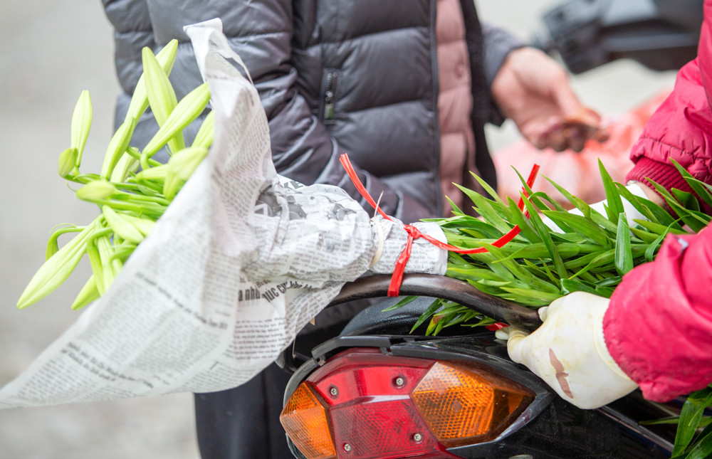 Người trồng hoa Hà Nội lâm cảnh 'hoa cười người khóc' ảnh 11