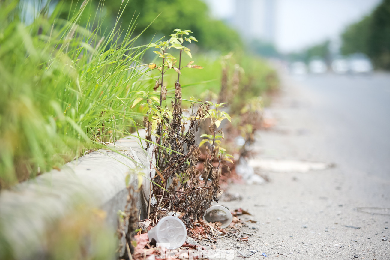 Đại lộ 'nghìn tỷ' ở Hà Nội vừa làm xong đã bị rác thải bủa vây ảnh 10
