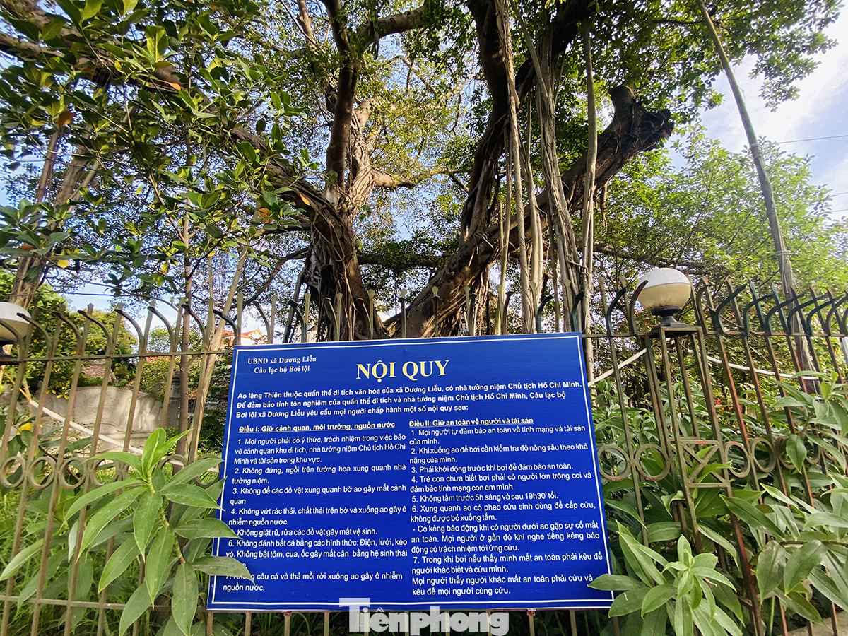 Mùa hè đỏ lửa, ao làng phủ kín bèo 'lột xác' thành bể bơi ảnh 14