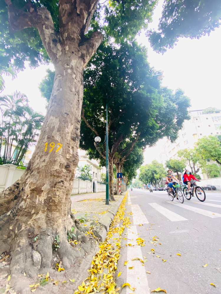 Hà Nội tĩnh mịch mùa COVID-19 qua gương soi bóng nước ảnh 9