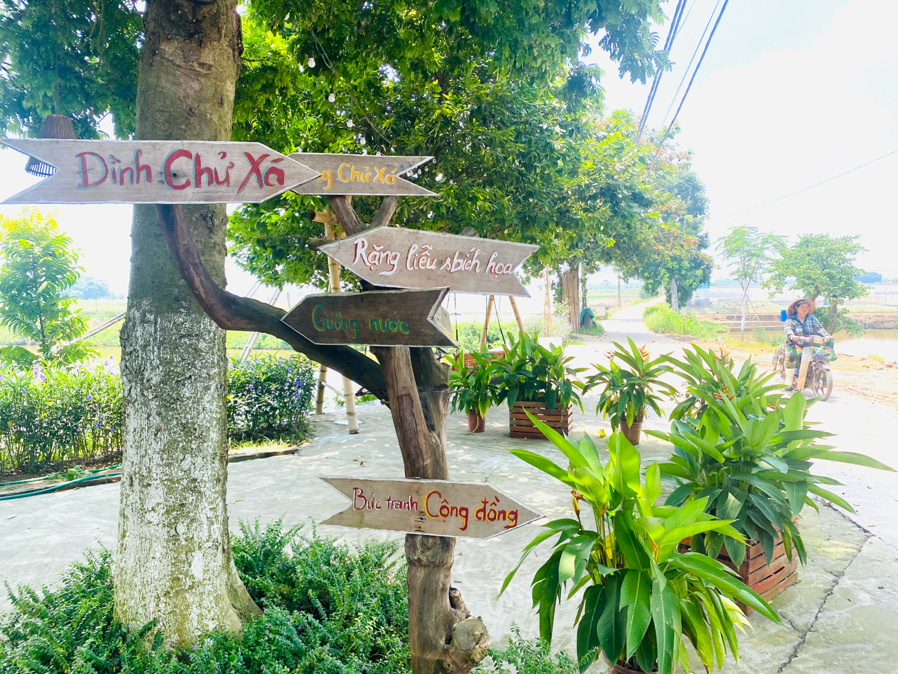 Cận cảnh những tác phẩm bích họa lớn nhất Thủ đô ảnh 2