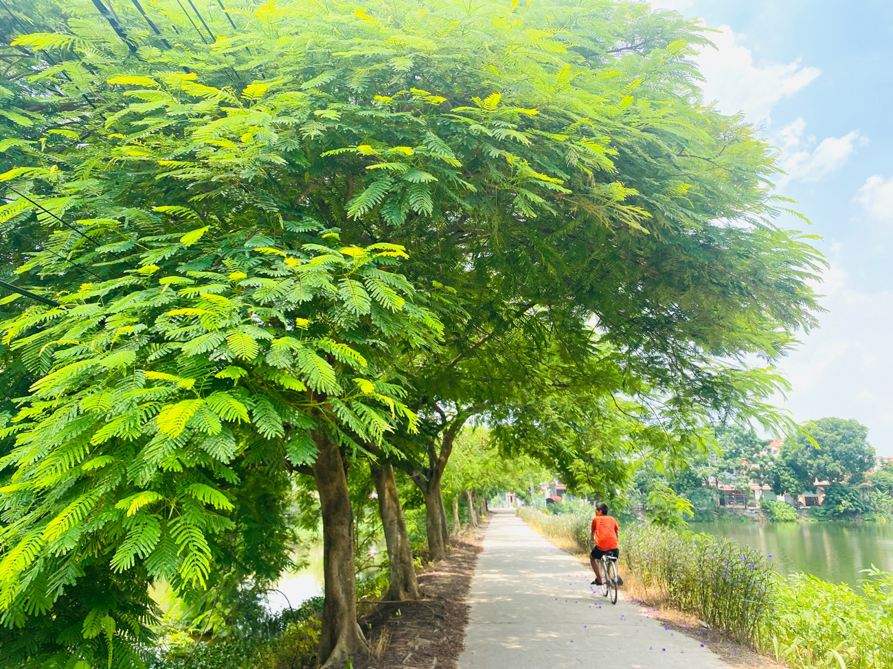 Cận cảnh những tác phẩm bích họa lớn nhất Thủ đô ảnh 14