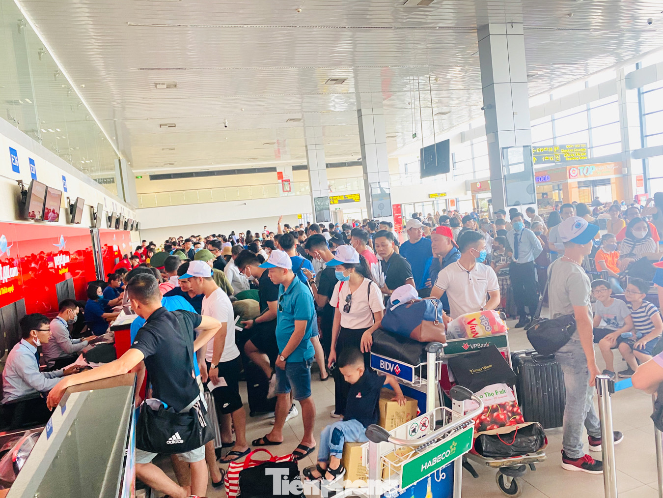 Biển người vật vã chờ đợi làm thủ tục ở sân bay Nội Bài trong mùa du lịch ảnh 14