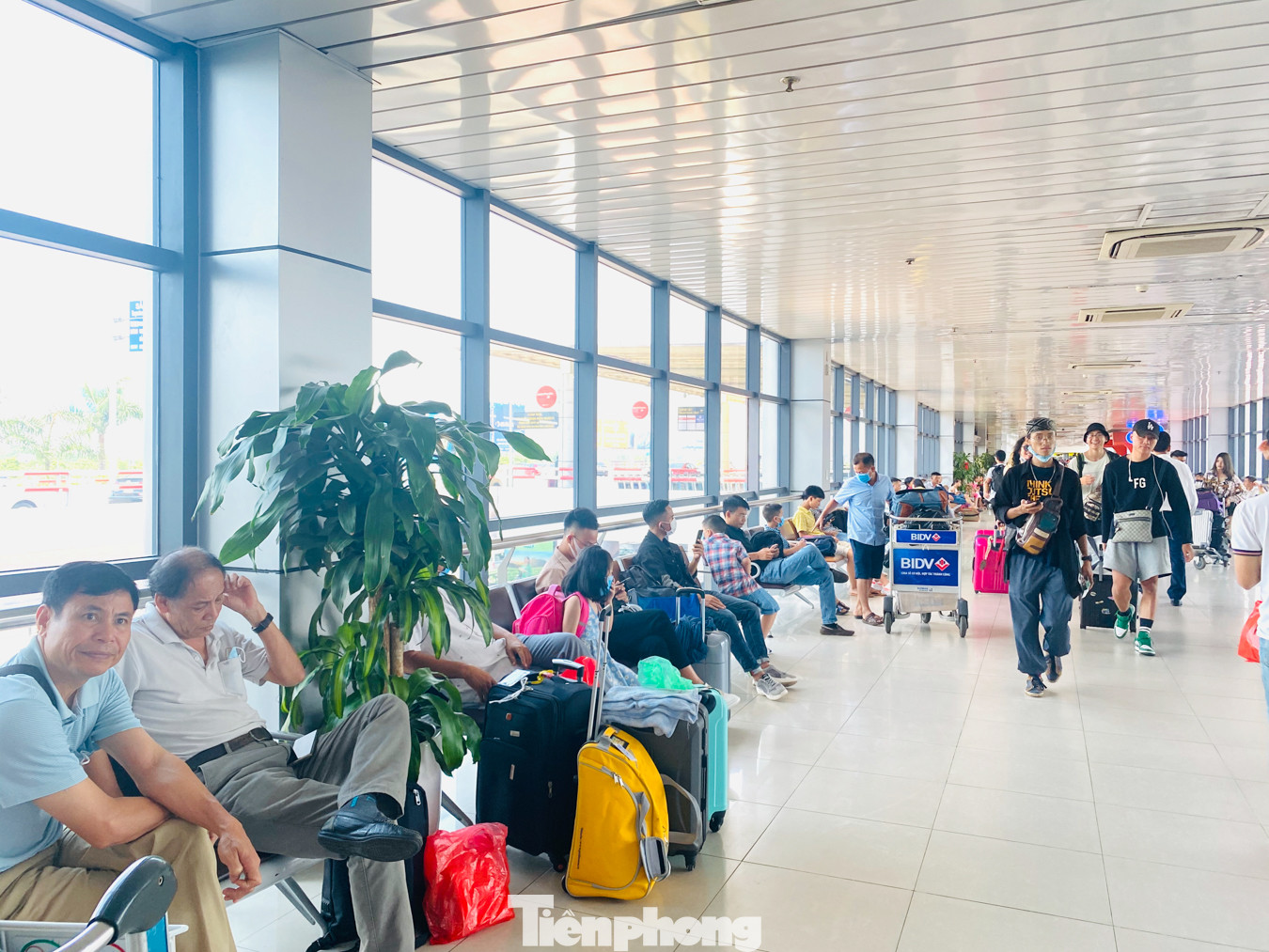 Biển người vật vã chờ đợi làm thủ tục ở sân bay Nội Bài trong mùa du lịch ảnh 13