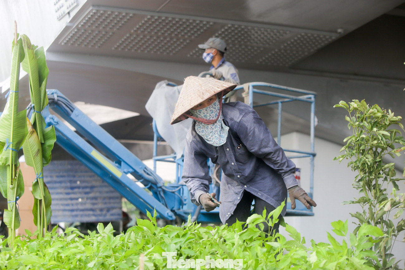 Nhìn gần cây cầu vượt quy mô lớn nhất Hà Nội sắp thông xe ảnh 7