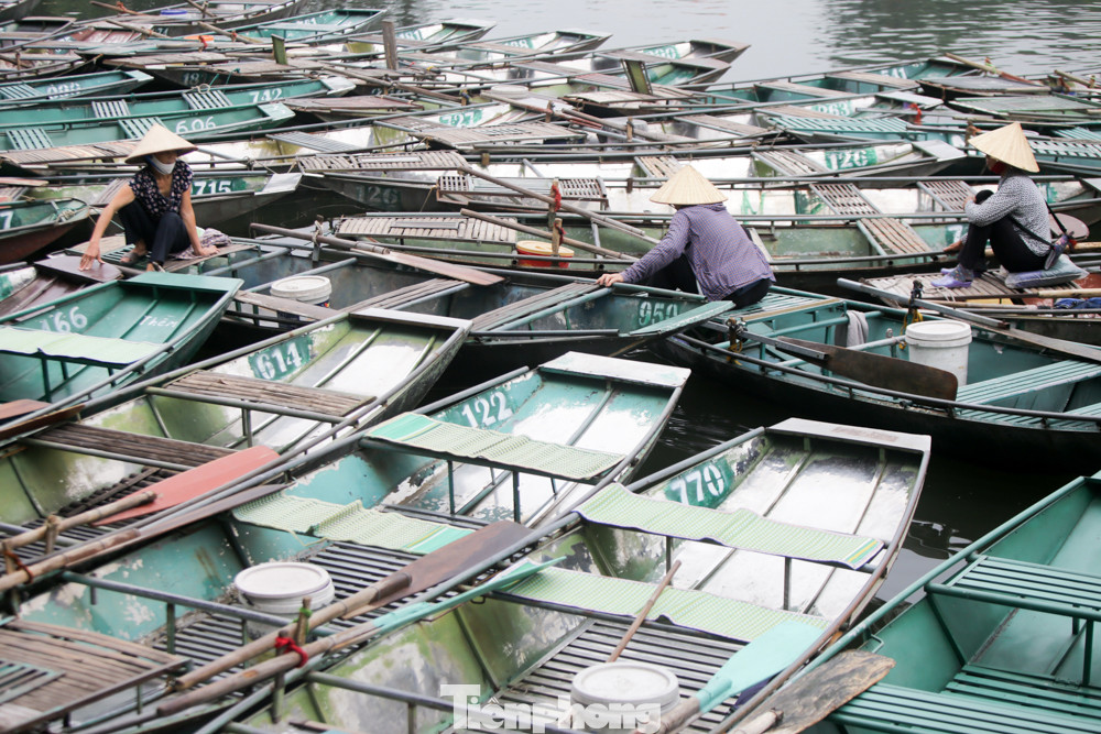 Nữ lái đò Tam Cốc, Bích Động thất nghiệp vì dịch COVID-19 ảnh 3