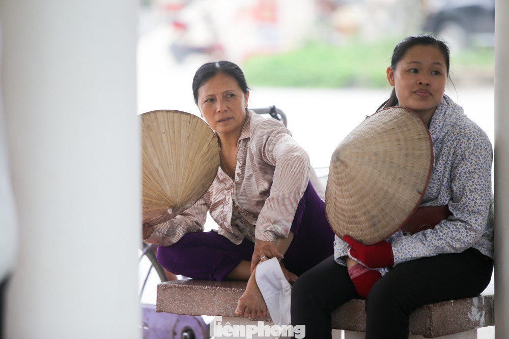 Nữ lái đò Tam Cốc, Bích Động thất nghiệp vì dịch COVID-19 ảnh 7