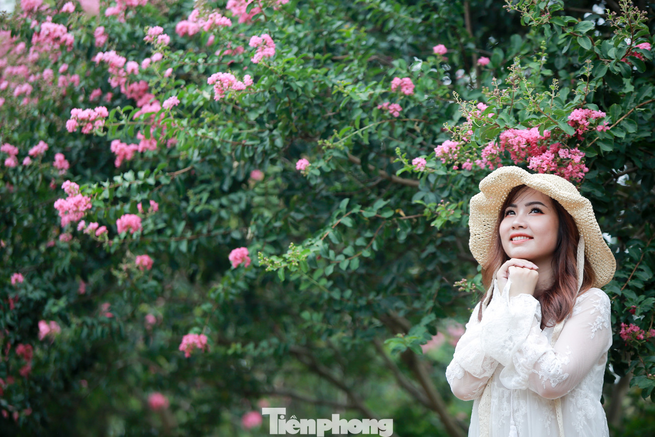 Cuối tuần check in con đường hoa tường vy đẹp như mơ giữa lòng Hà Nội ảnh 7