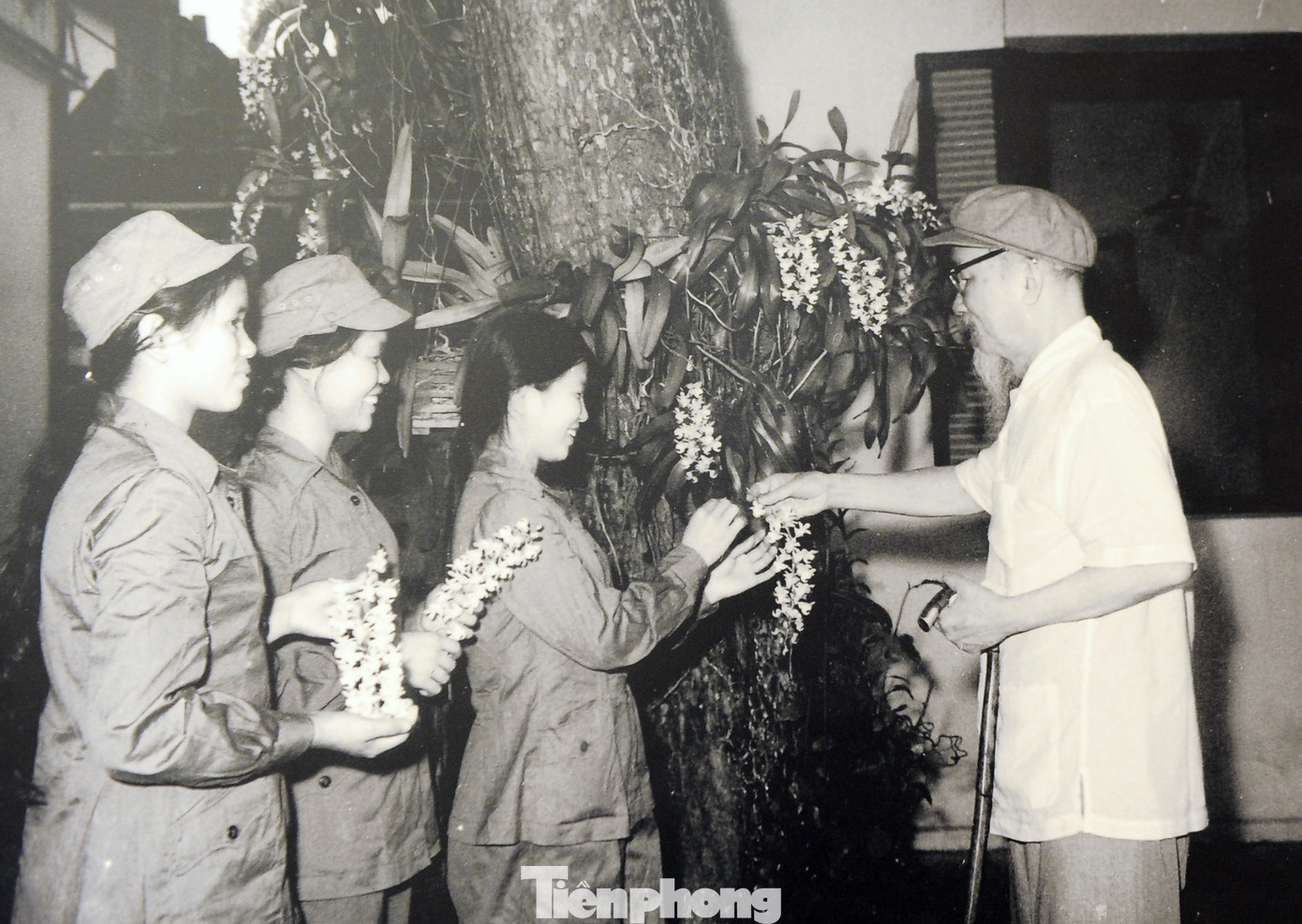 Khoảnh khắc phụ nữ Việt Nam từ 'bông hồng thép' đến 'cô gái vàng' ảnh 5