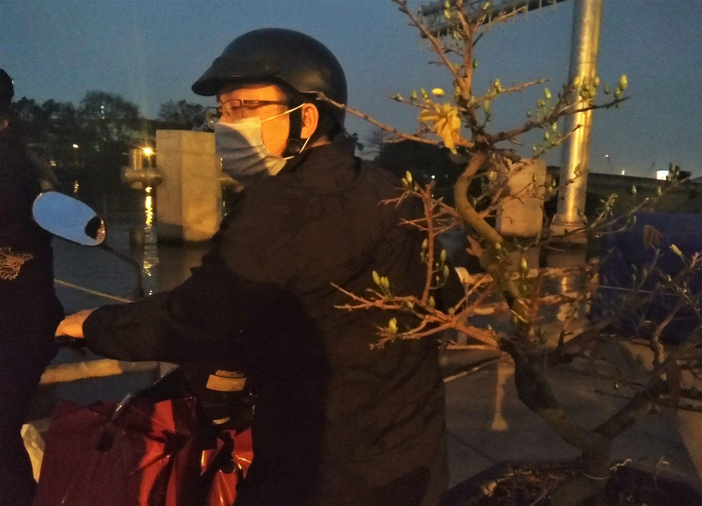 Đêm giao thừa người TPHCM soi đèn mua hoa Tết giải cứu nông dân ảnh 10