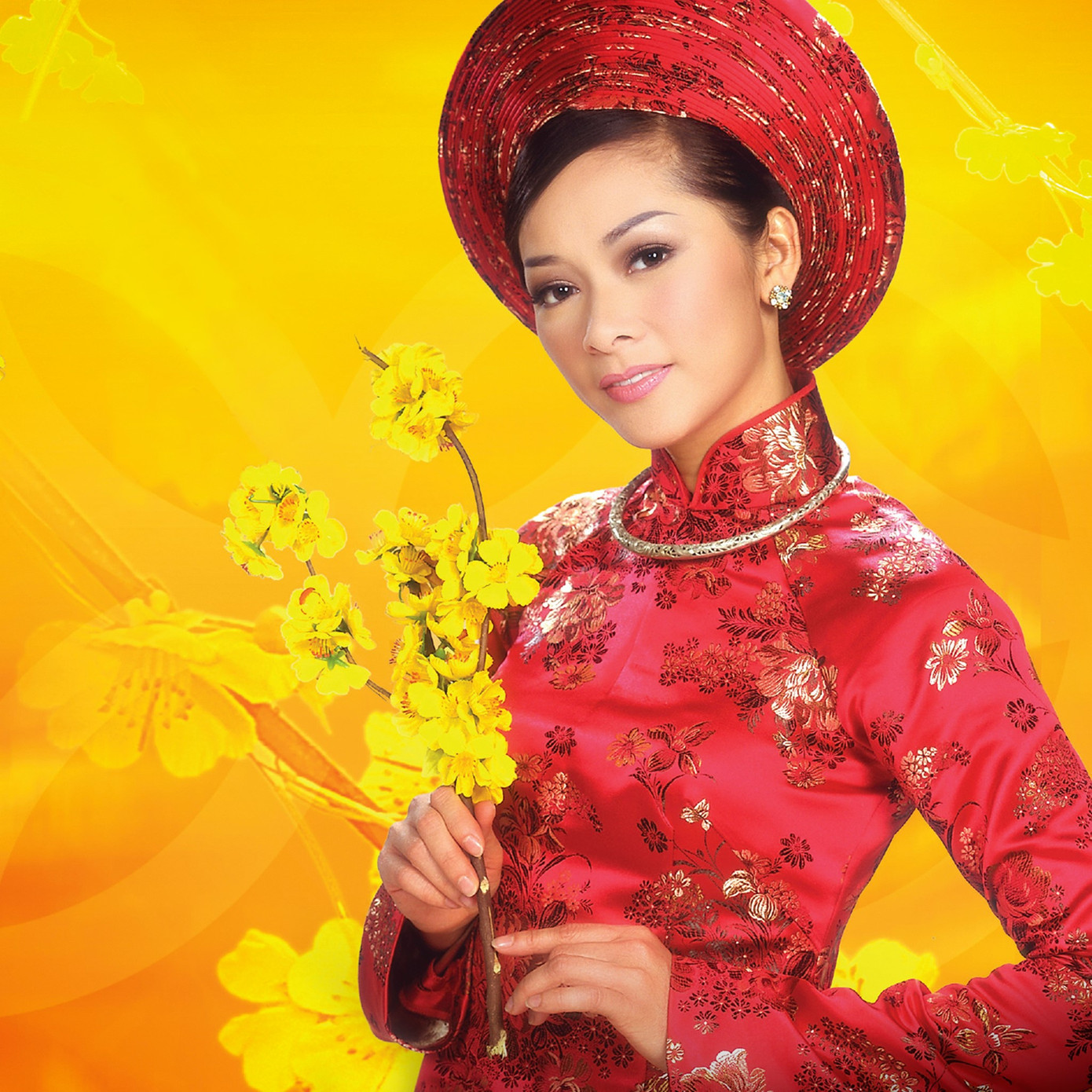 Show diễn có Nguyễn Hưng, Như Quỳnh dịp Tết ở Việt Nam nguy cơ bị hủy vì COVID-19 ảnh 2