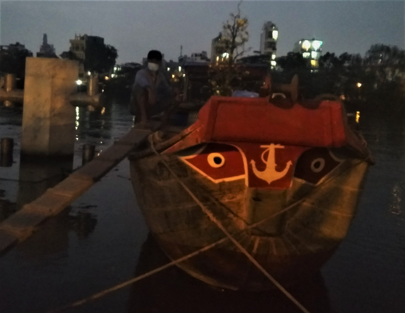 Đêm giao thừa người TPHCM soi đèn mua hoa Tết giải cứu nông dân ảnh 8