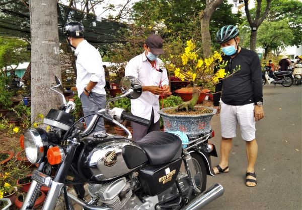 Hoa, cây cảnh chơi Tết nhiều nơi ở TPHCM hạ giá đến 50% ảnh 2