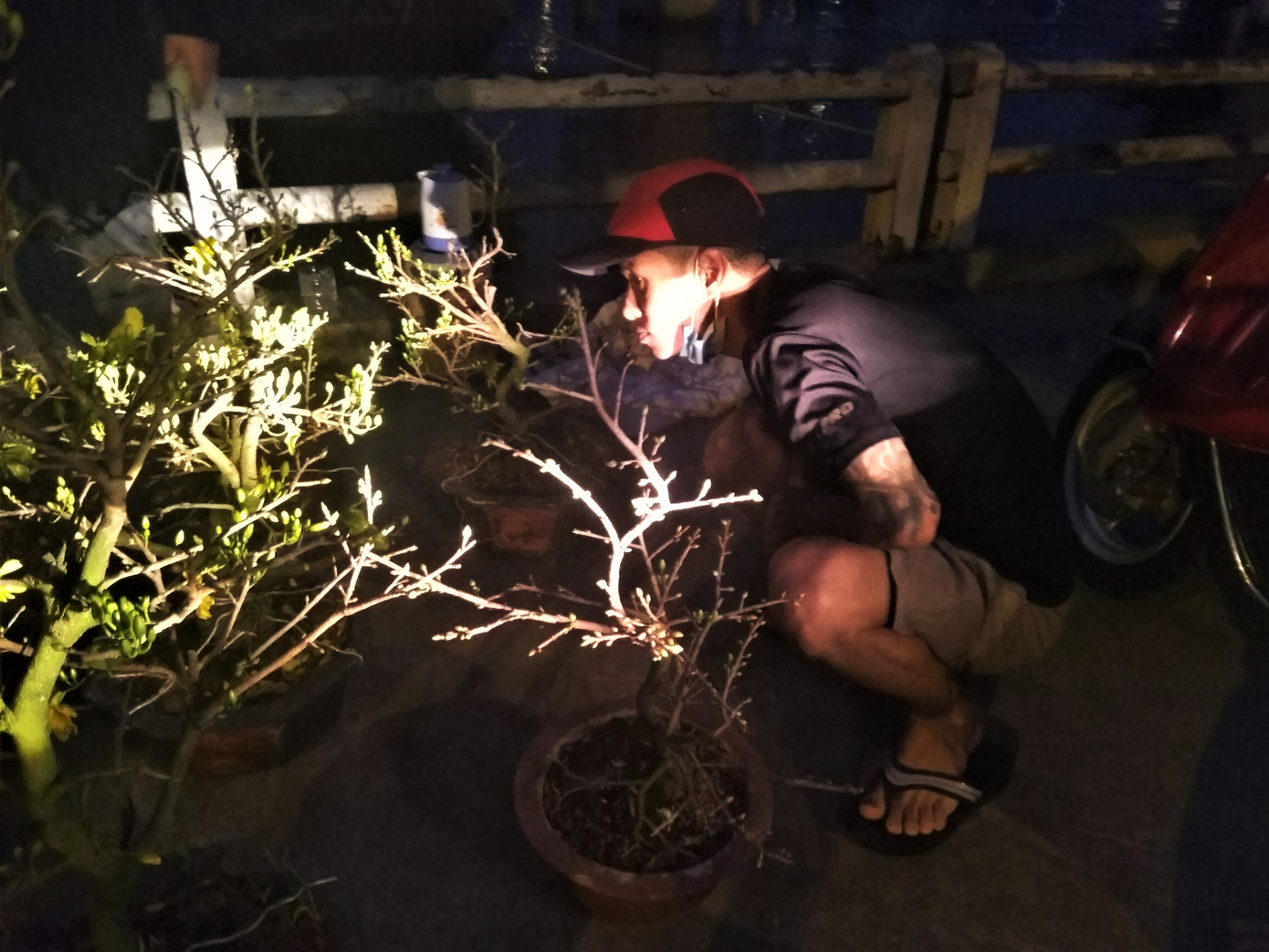 Đêm giao thừa người TPHCM soi đèn mua hoa Tết giải cứu nông dân ảnh 1