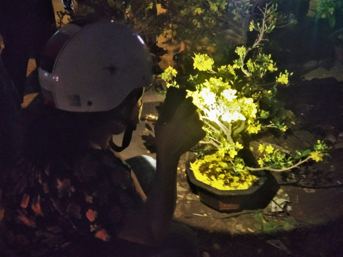 Đêm giao thừa người TPHCM soi đèn mua hoa Tết giải cứu nông dân ảnh 4