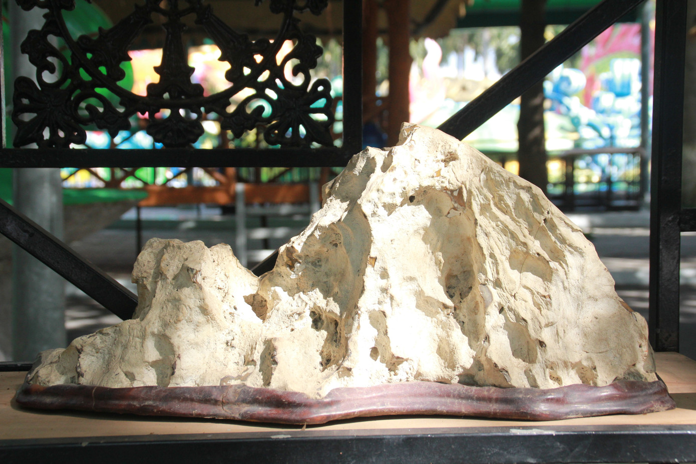 Chiêm ngưỡng các tác phẩm bonsai và đá cảnh nghệ thuật quốc tế hội tụ ở TPHCM ảnh 23