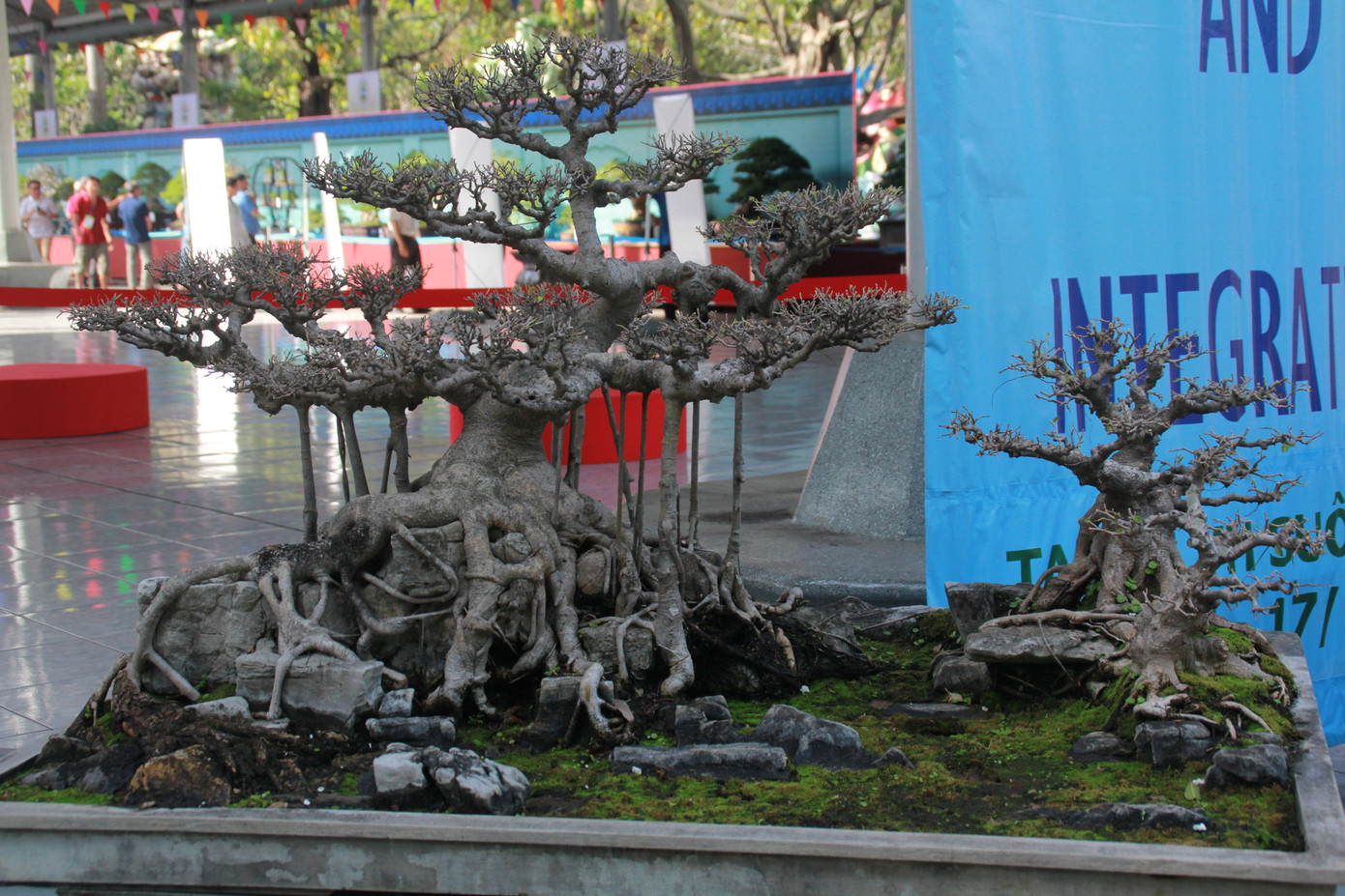 Chiêm ngưỡng các tác phẩm bonsai và đá cảnh nghệ thuật quốc tế hội tụ ở TPHCM ảnh 17