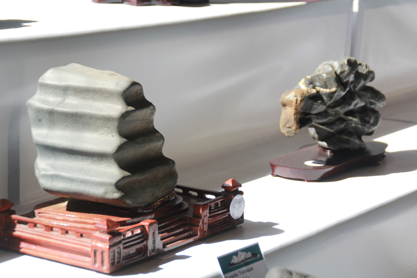 Chiêm ngưỡng các tác phẩm bonsai và đá cảnh nghệ thuật quốc tế hội tụ ở TPHCM ảnh 26