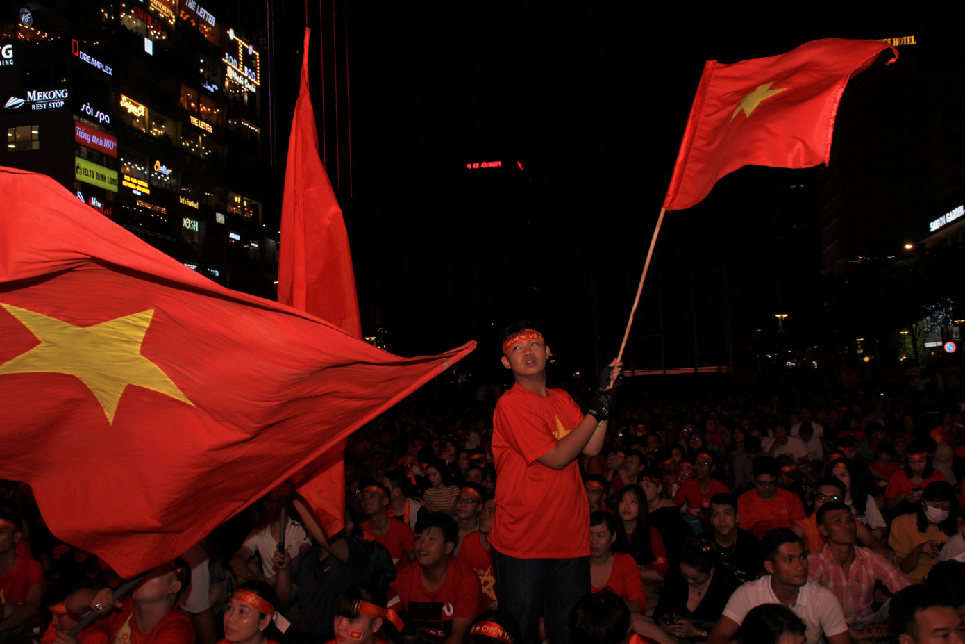 Đàm Vĩnh Hưng cùng hàng nghìn CĐV hô vang 'Việt Nam' ảnh 2