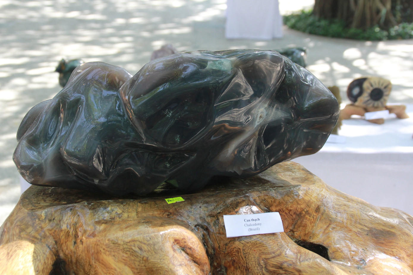 Chiêm ngưỡng các tác phẩm bonsai và đá cảnh nghệ thuật quốc tế hội tụ ở TPHCM ảnh 22