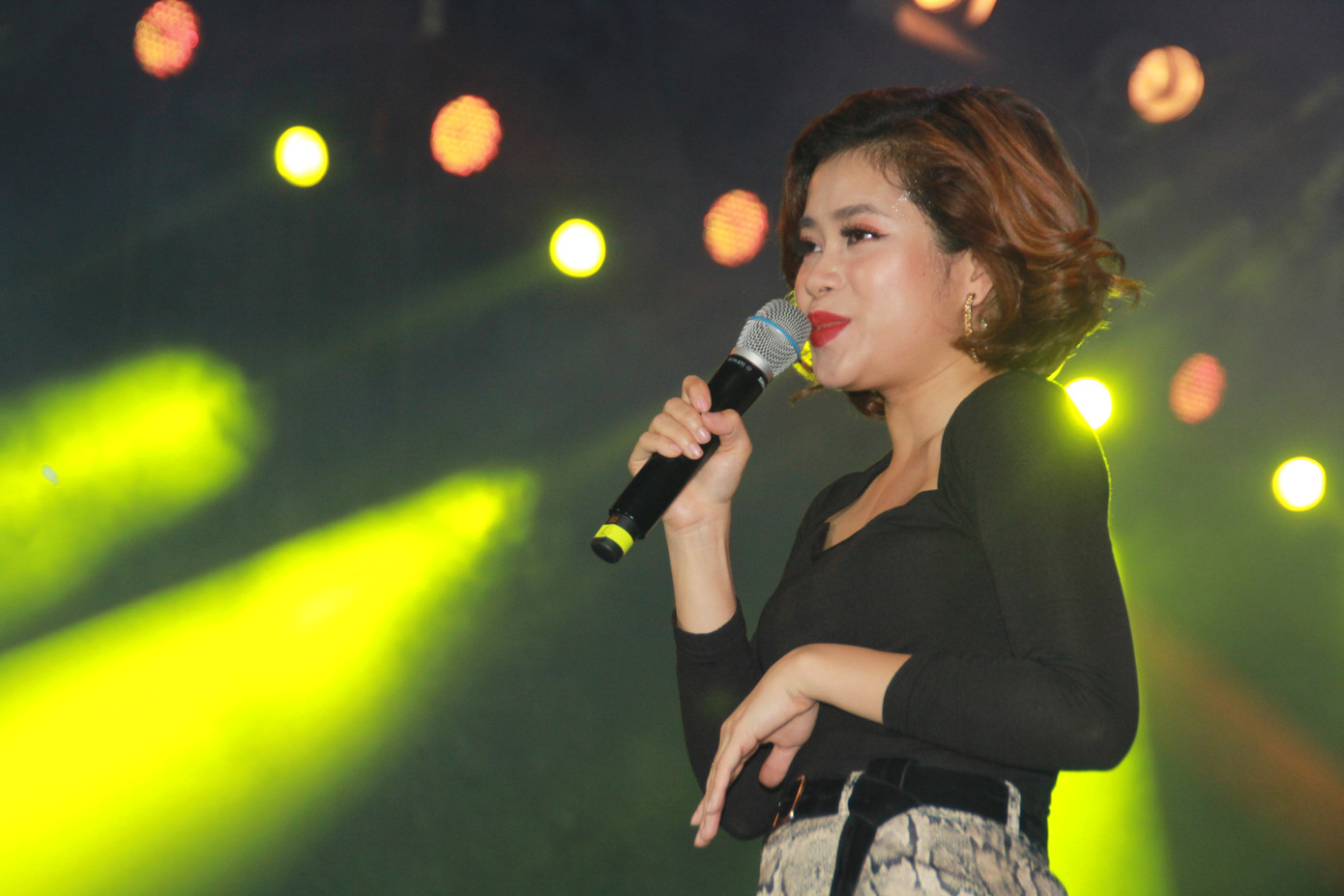 Hà Hồ, Thu Minh và các ban nhạc quốc tế hút nghìn khán giả 'cháy' đến 12 giờ đêm ảnh 2