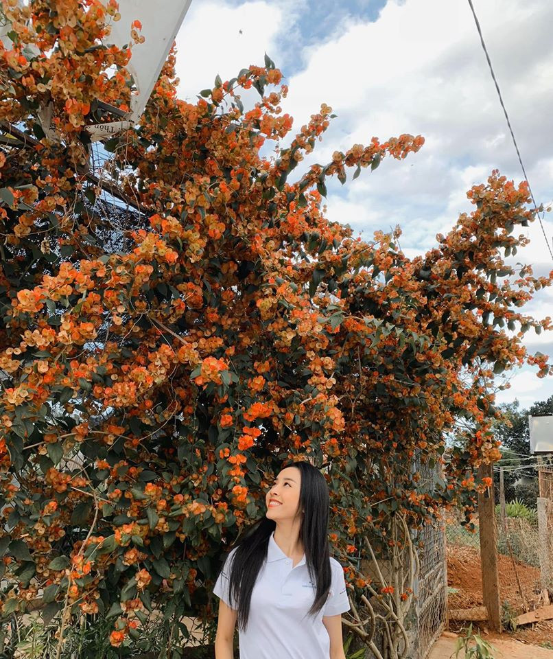 Lương Thuỳ Linh, Tường San, Kiều Loan đẹp 'bất phân thắng bại' khi mặc hanbok ảnh 12