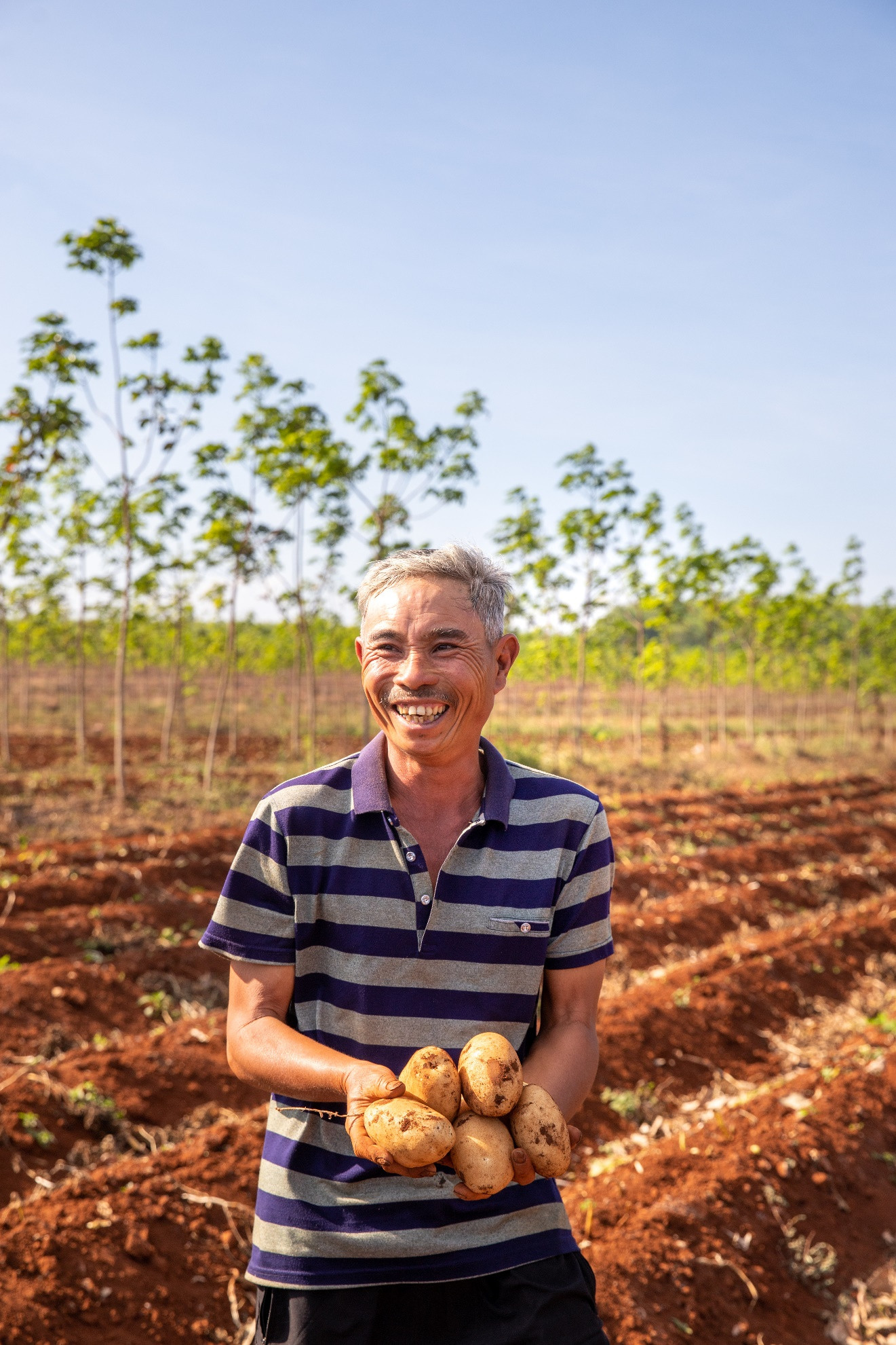 Vụ khoai tây đầu tiên của PepsiCo Việt Nam tại Gia Lai vượt ngưỡng kỳ vọng ảnh 3