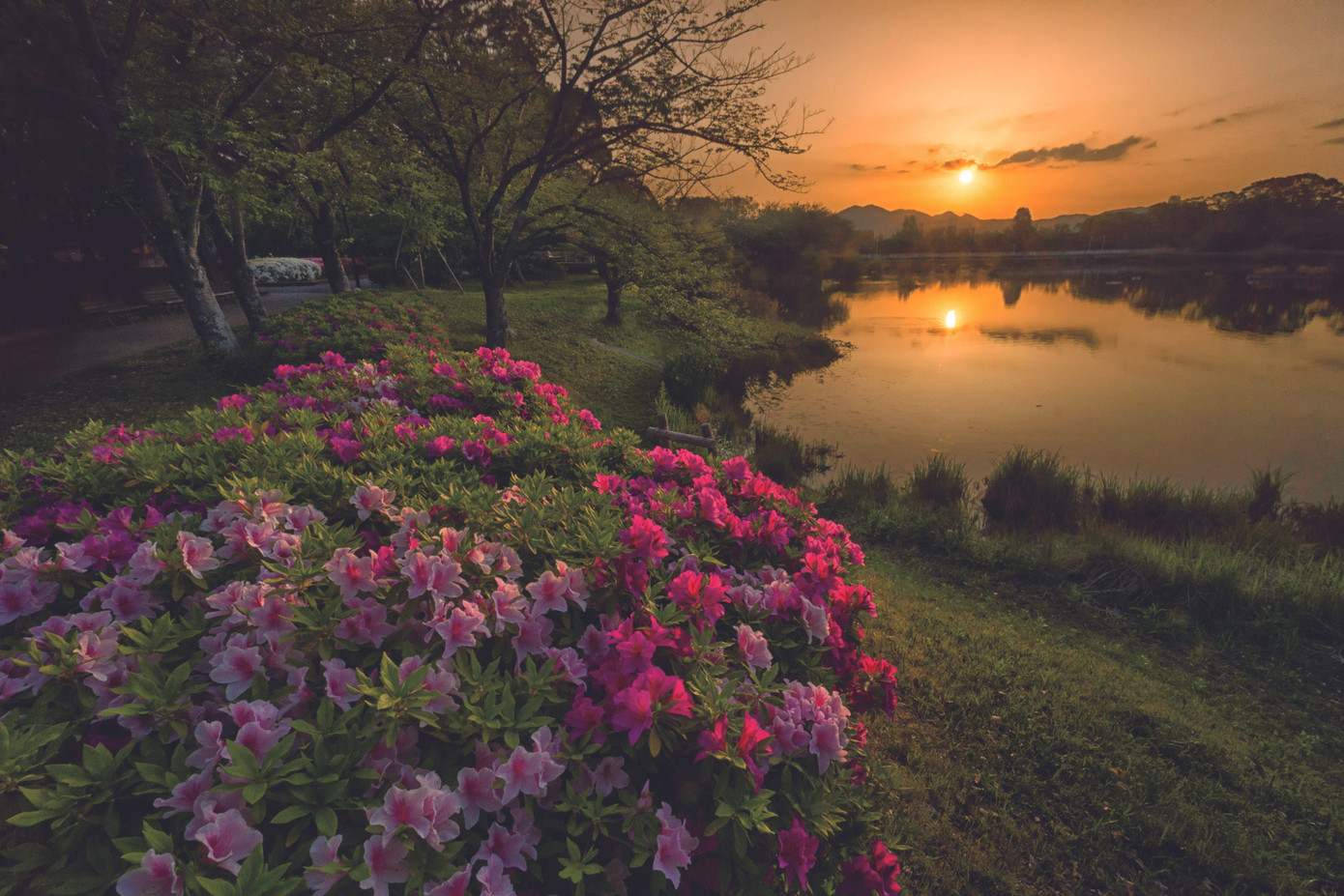 Khám phá ẩm thực đặc trưng của Toyohashi, Nhật Bản ảnh 1