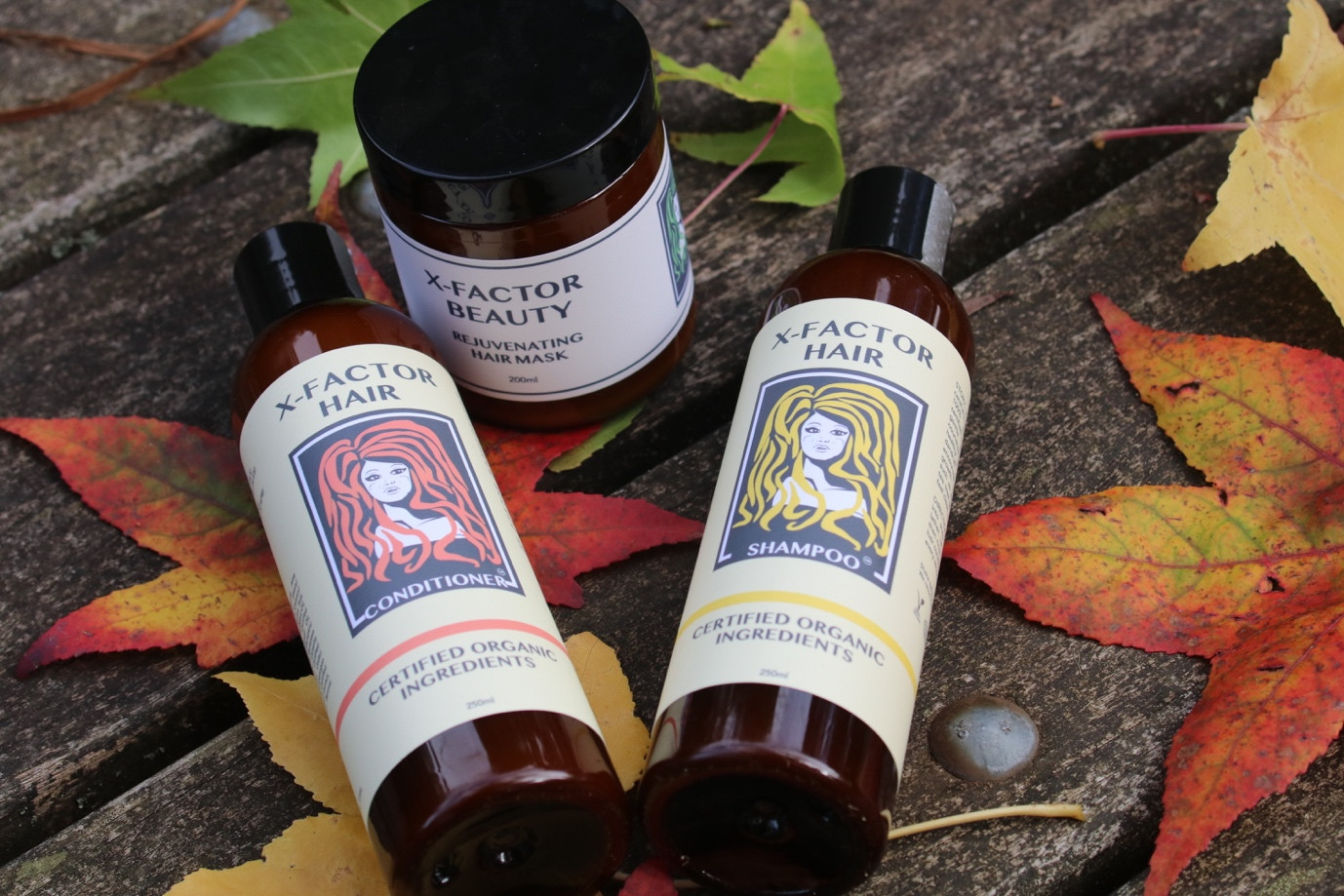 Cô gái Việt với niềm đam mê thiên nhiên nước Úc ảnh 5