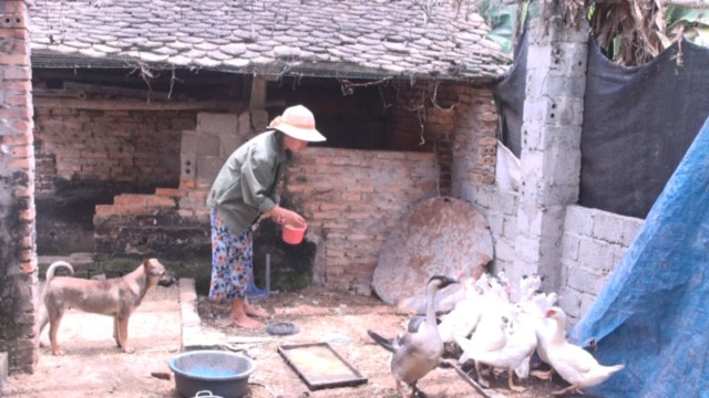 Hàng nghìn người tự nguyện không nhận tiền hỗ trợ khó khăn do dịch COVID-19 ảnh 1