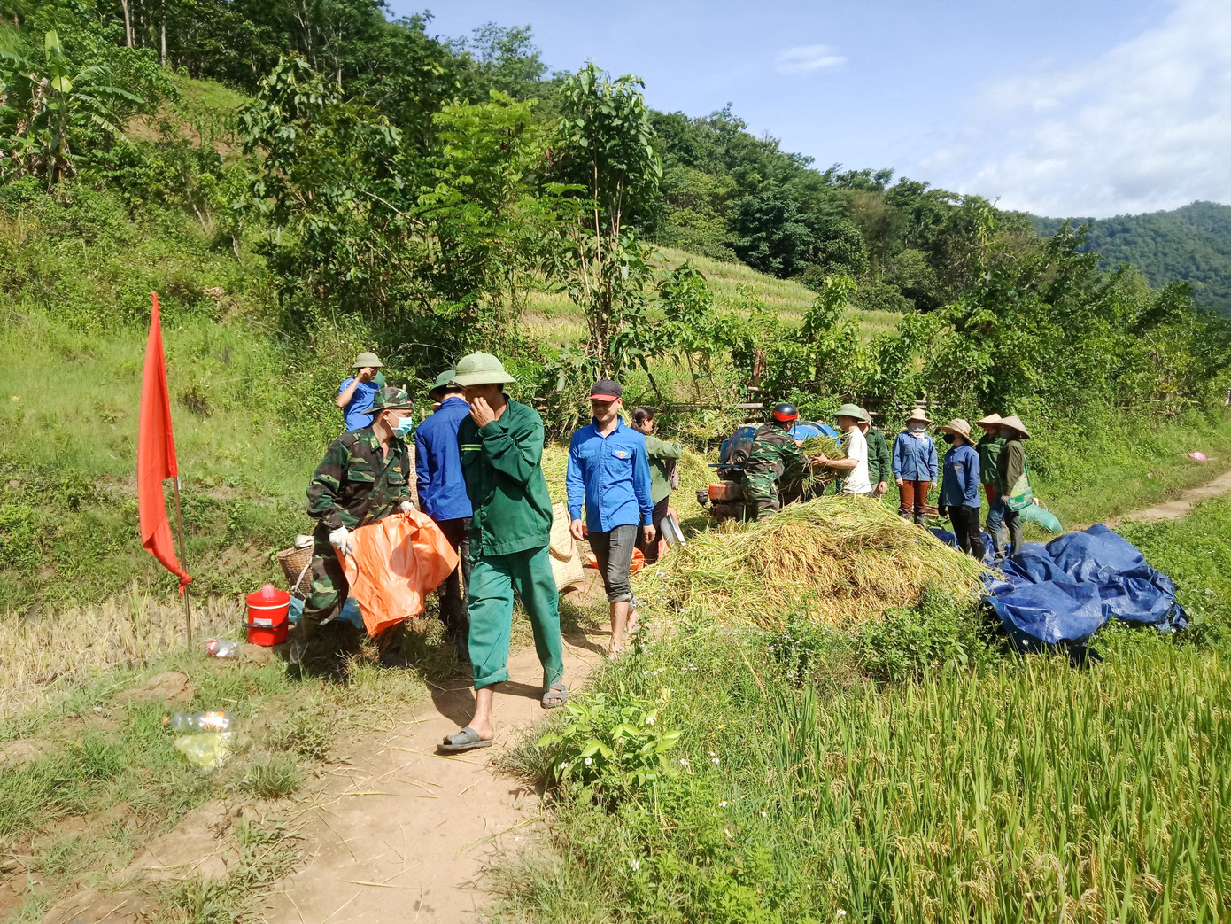 Thanh niên đội nắng giúp đồng bào vùng cao gặt lúa ảnh 3