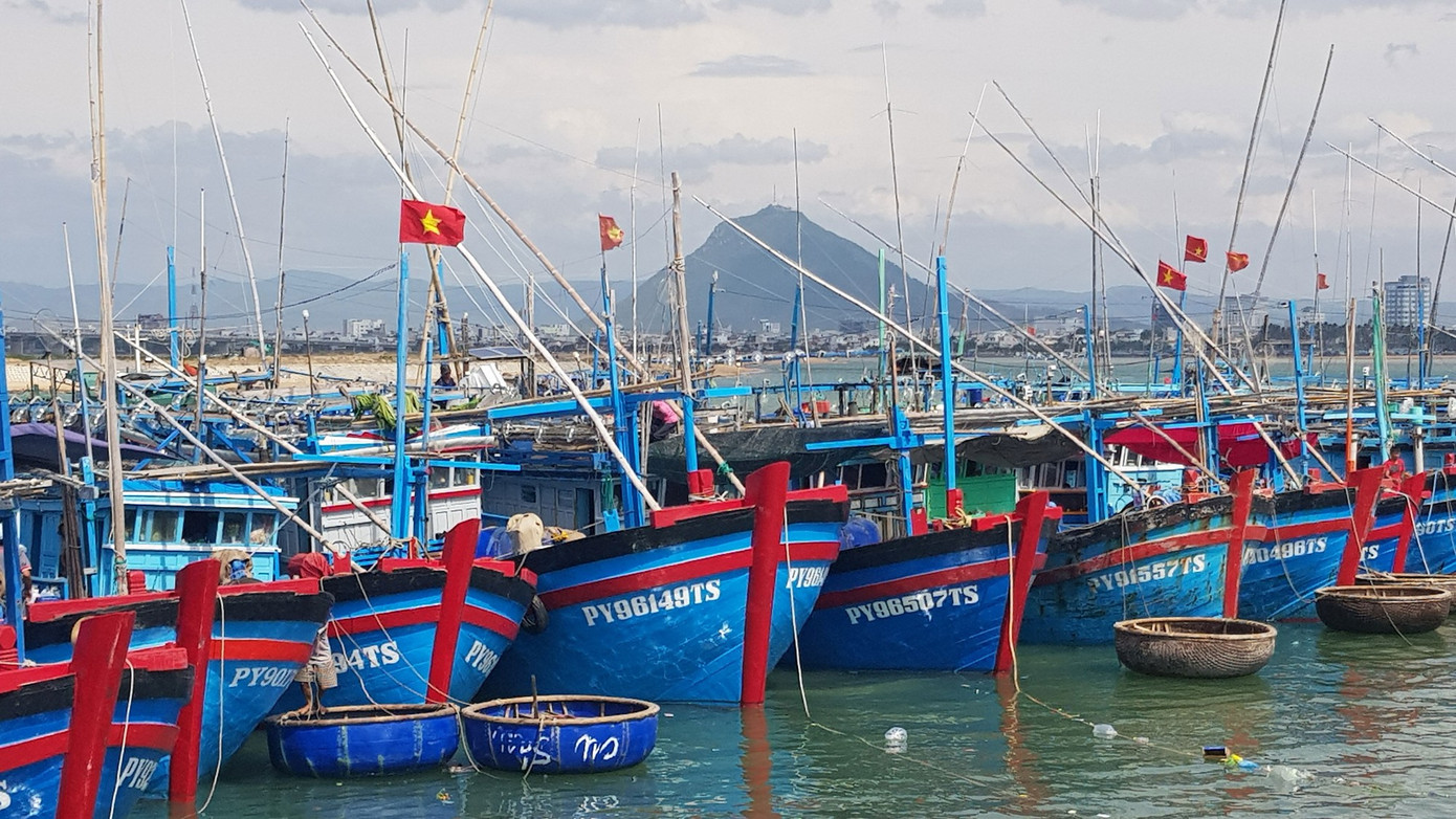 Đẩy nhanh tiến độ lắp đặt thiết bị giám sát hành trình tàu cá ảnh 1