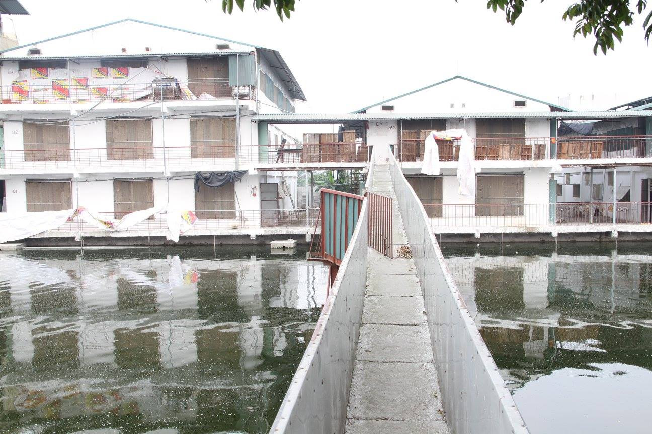 Chuỗi chăn nuôi khép kín cung cấp thực phẩm an toàn cho người tiêu dùng Thủ đô ảnh 2