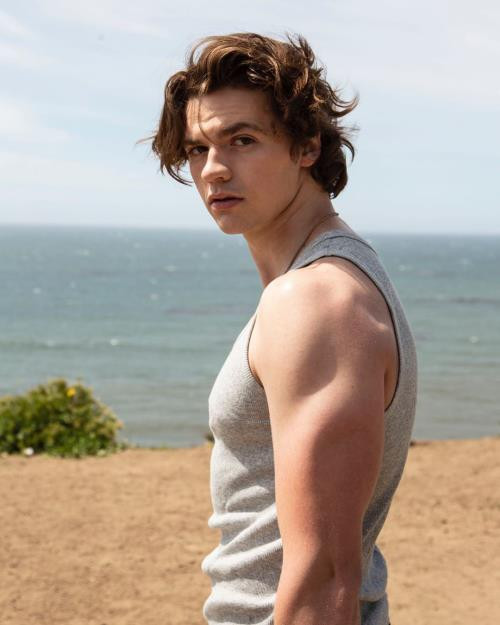 Hội mỹ nam khiến bao trái tim chao đảo của Netflix: Bạn đã xem phim của họ chưa? ảnh 7