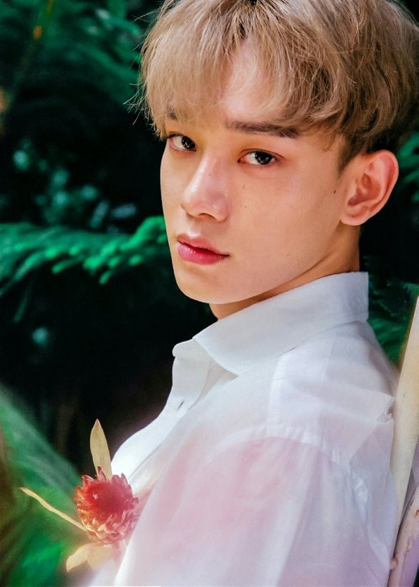 Trong thế giới fangirl: Ngày người em thương kết hôn, em đã khóc nhưng rồi lại cười ảnh 2