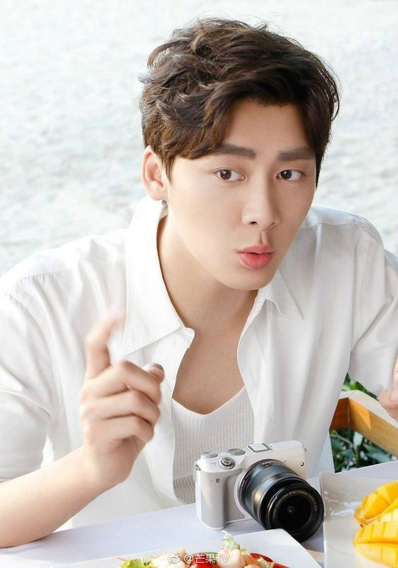 Trong thế giới fangirl: Có một chàng trai tôi muốn yêu thương cả đời - Lý Dịch Phong ảnh 3