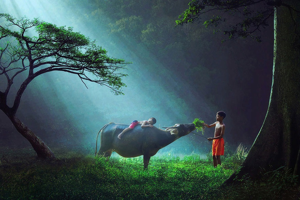 Cuộc thi viết Trà sữa cho tâm hồn: Những ống bơ mùa Đông ấm mãi tuổi thơ tôi ảnh 1