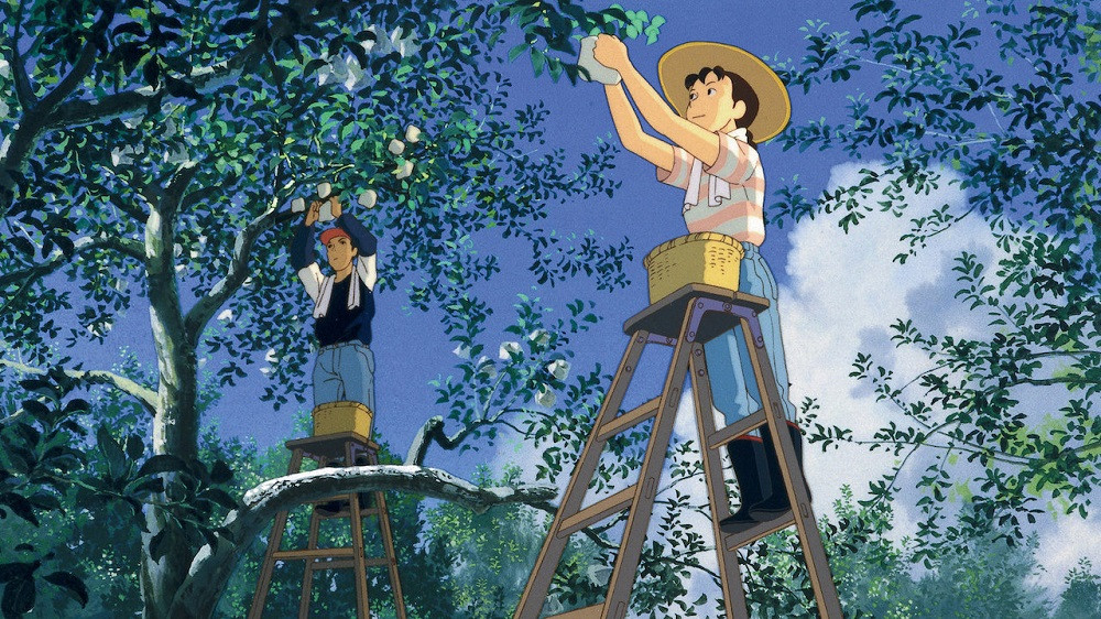 Bạn đọc sáng tác: Cây củ tảo tuổi thơ tô màu xanh tuổi trẻ, êm đềm dẫn tôi tới tương lai ảnh 2