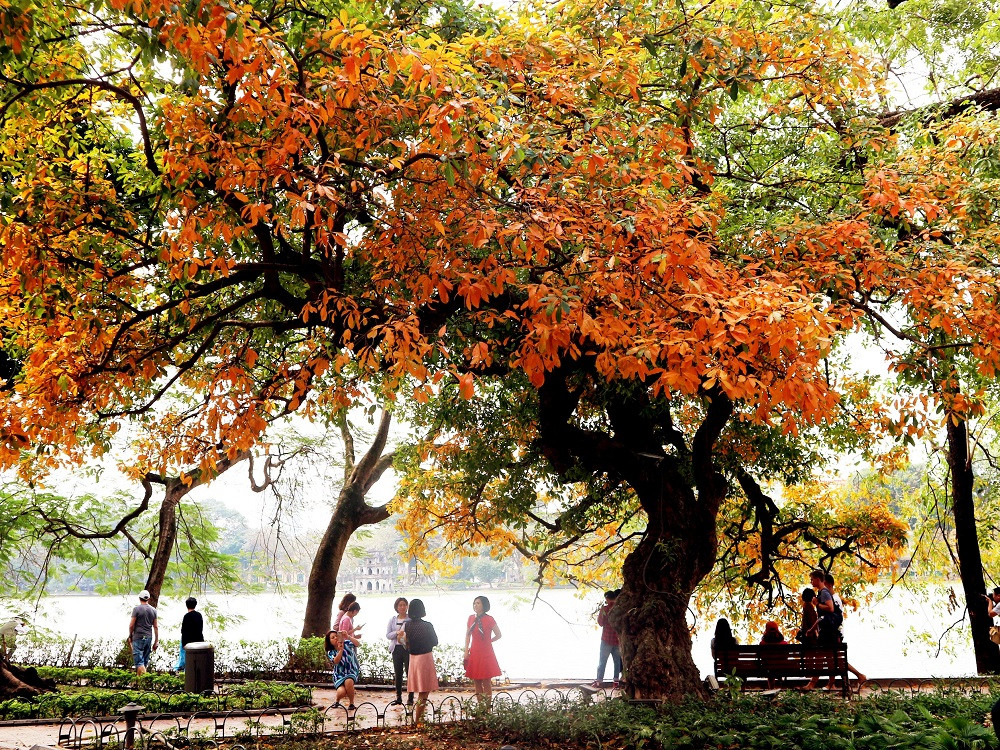 Bạn đọc sáng tác: Người yêu dấu ơi, anh mơ gì giữa lòng Hà Nội? ảnh 2