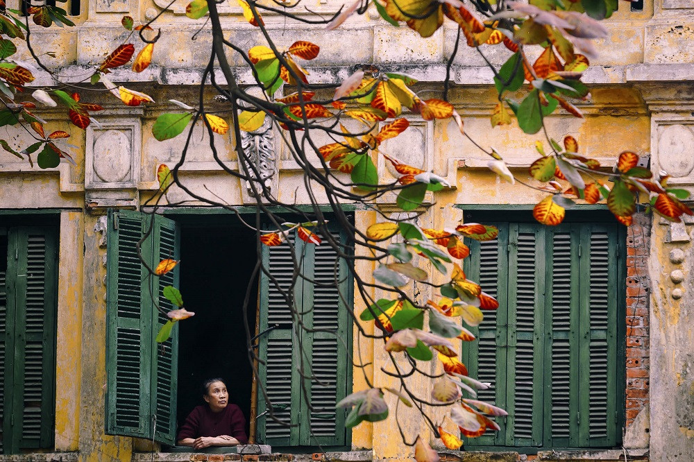 Bạn đọc sáng tác: Người yêu dấu ơi, anh mơ gì giữa lòng Hà Nội? ảnh 5