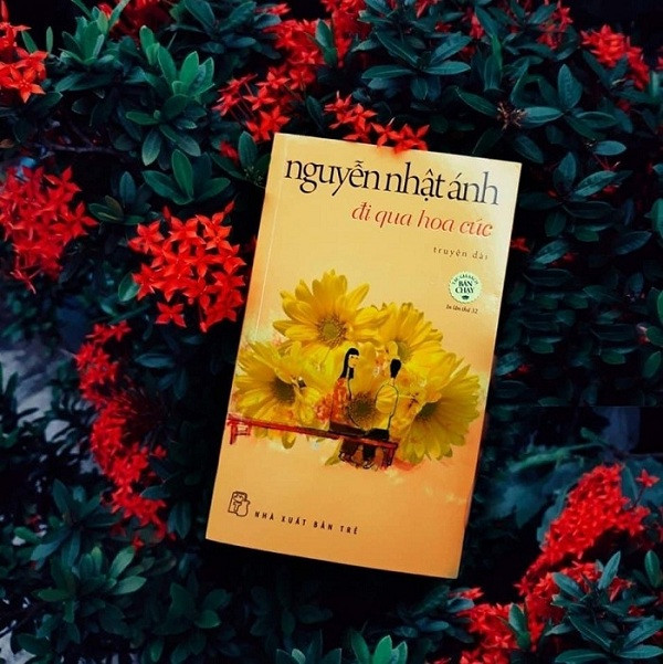 “Đi qua hoa cúc” Nguyễn Nhật Ánh: Có người đi qua cuộc đời ta, rồi ở lại trong ký ức ảnh 1