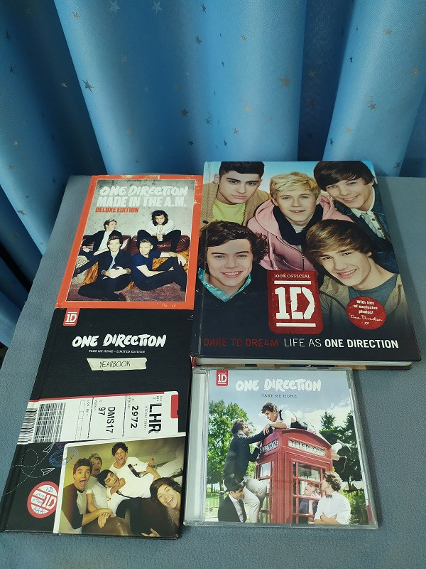 Trong thế giới fangirl: Nguyện mãi là “Phi hành gia” nhỏ bé trong hành tinh Directioners ảnh 3