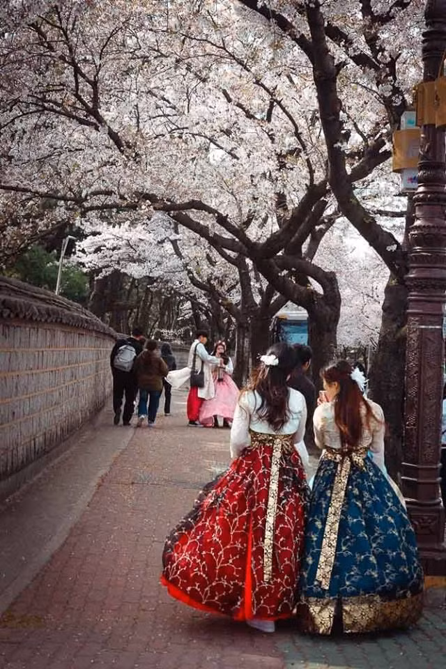 Cuộc thi viết Trà sữa cho tâm hồn: Cảm ơn và tạm biệt Seoul, thành phố tôi đã yêu! ảnh 1
