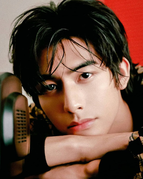 Tống Uy Long, Bạch Lộc, Triệu Lộ Tư: Dàn chính lẫn phụ “Phượng Tù Hoàng” đều đã nổi tiếng ảnh 1